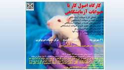اطلاعیه برگزاری کارگاه اصول کار با حیوانات آزمایشگاهی در مرکز تحقیقات فیزیولوژی